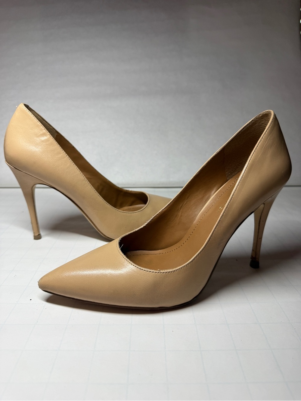 Classic Pointed-Toe Stiletto Pumps in Nude